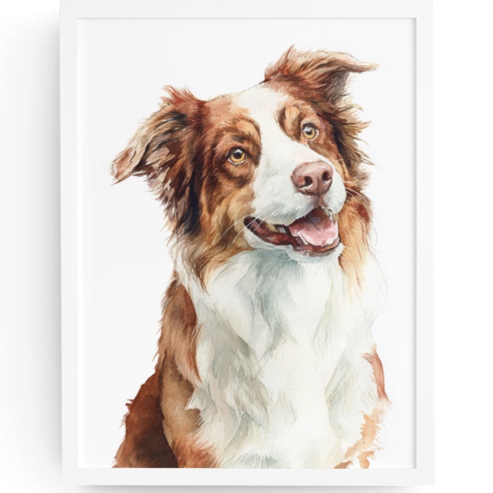 Watercolor Australian Shepherd Dog Portrait Wall Art Print, Unframed